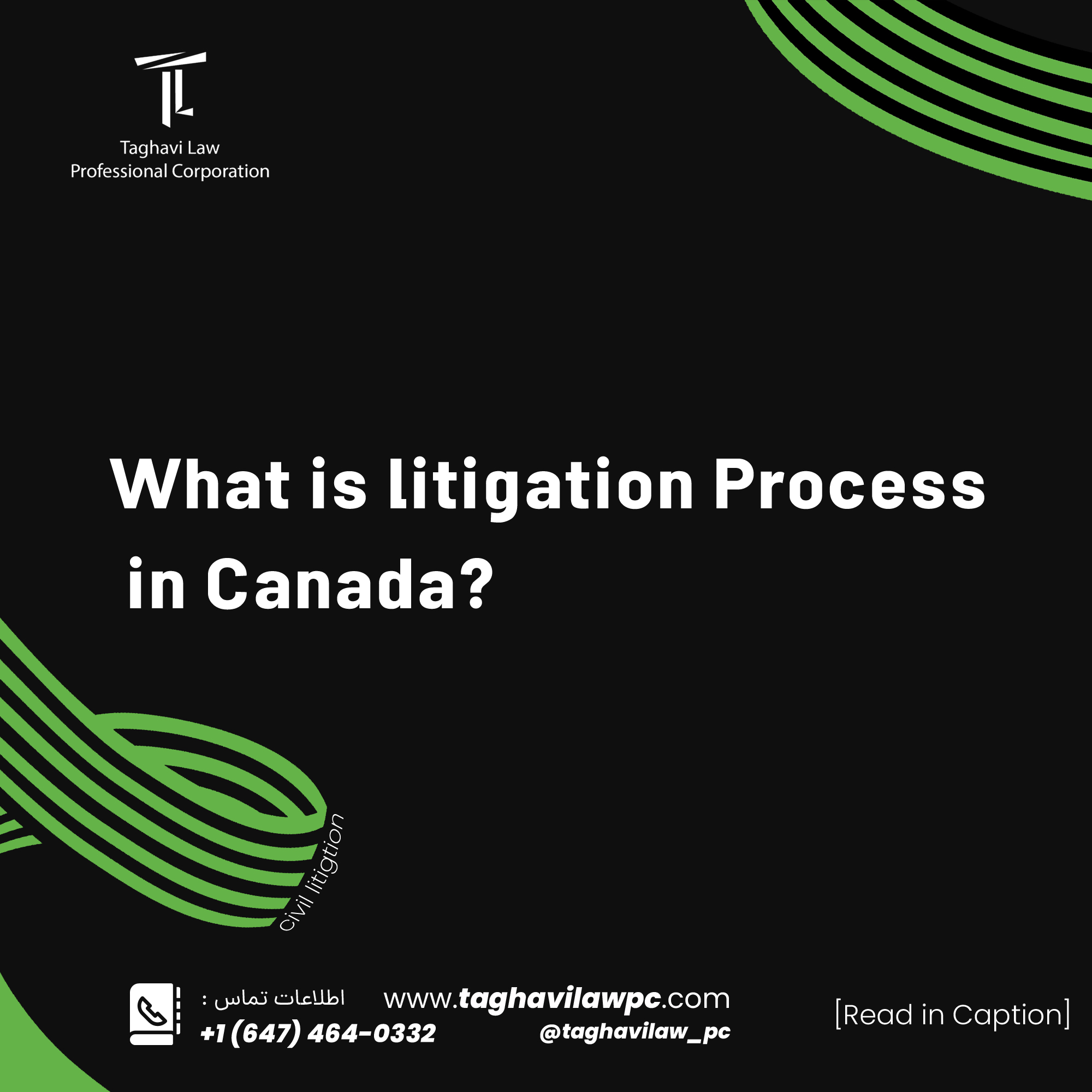 litigation process